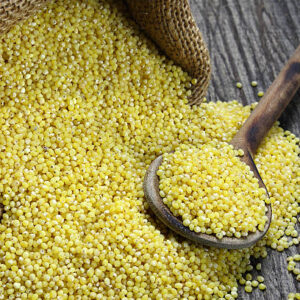 korralu {foxtail millet}